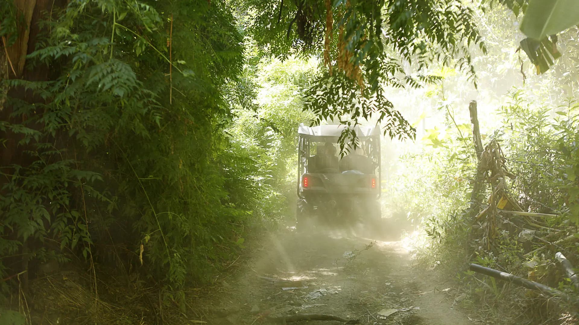 image of the Adventure Tours section